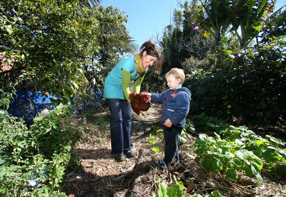 Bulli Community Garden 